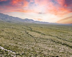 aerial drone photography of vacant land