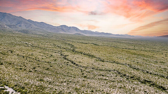 aerial drone photography of vacant land